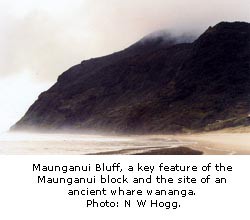 Maunganui Bluff