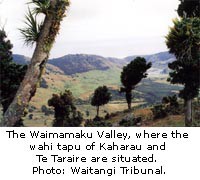 The Waimamaku Valley
