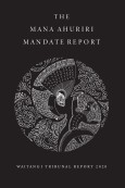 Front cover of the Mana Ahuriri Mandate Report