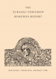 Front cover of the Turangi Township Remedies Report